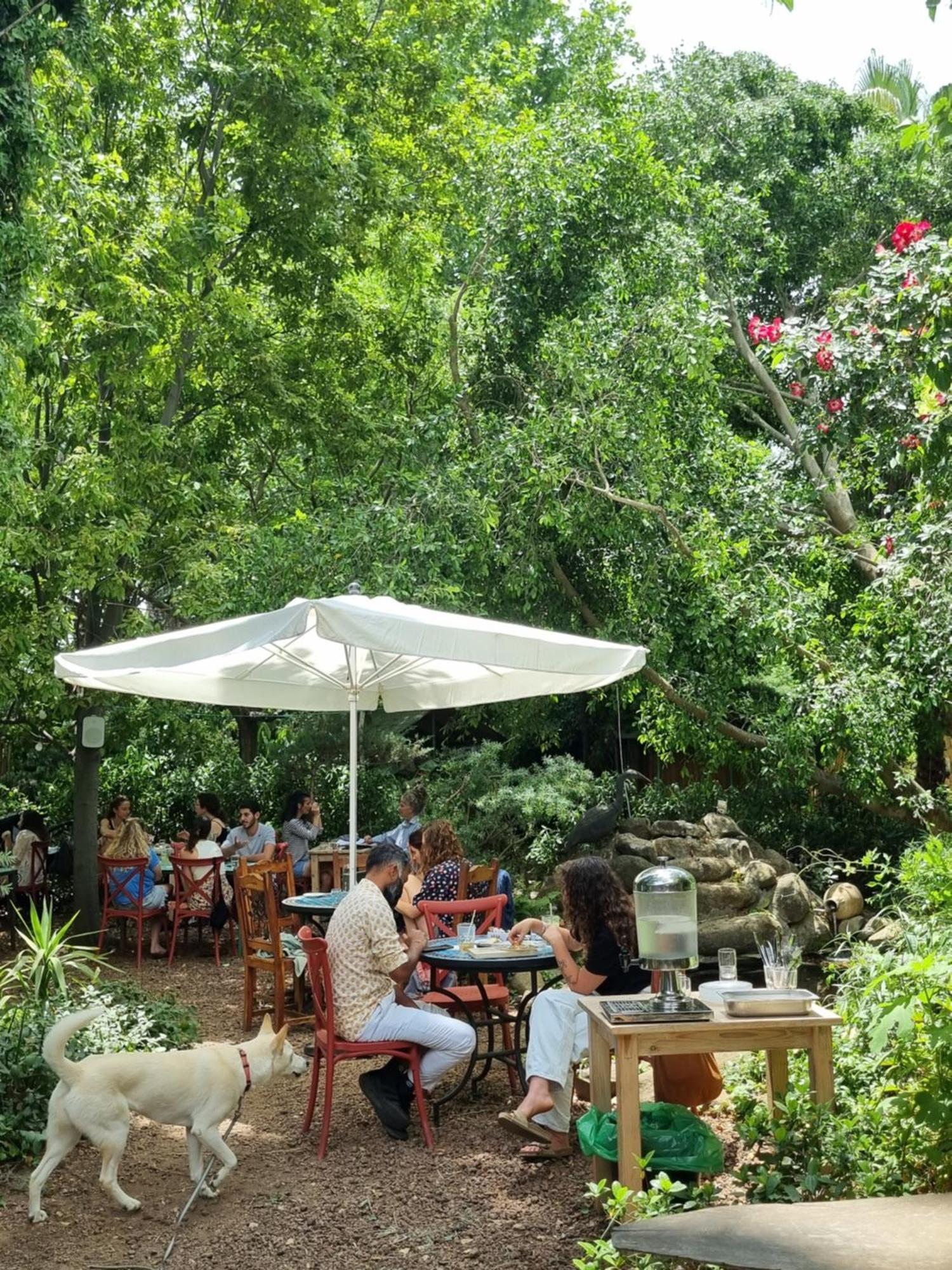 Vitrage Holiday Village And Spa 베이트 힐렐 외부 사진